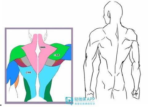 成人男性绘画教程视频,成人男性绘画教程视频精华概述