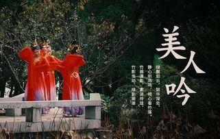 古典成人简单舞蹈视频,跟随视频轻松入门