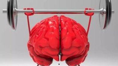 成人训练大脑的动作视频,探索成人训练大脑的神奇之旅