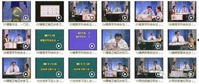 成人行书视频教学下载,跟随视频教程轻松掌握成人行书技巧