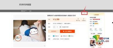 视频在线手机成人,揭秘虚拟世界的成人娱乐产业