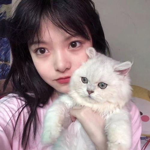 女生玩具成人猫爪图片视频,女生玩家的独特选择