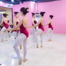 成人古典基础训练视频,成人健身入门指南