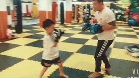 成人散打课双人教学视频,成人散打课双人教学视频解析