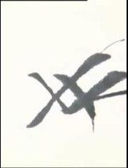 成人练字视频治愈,成人练字视频治愈之旅