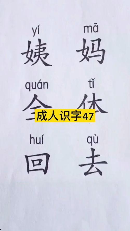 成人练字视频治愈,成人练字视频治愈之旅