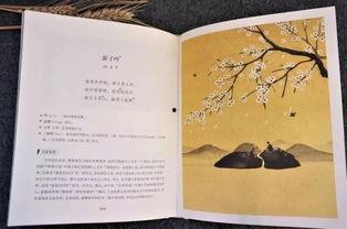 成人古诗词独舞视频,成人古诗词独舞之美